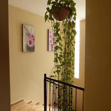 Villa The Corner House *